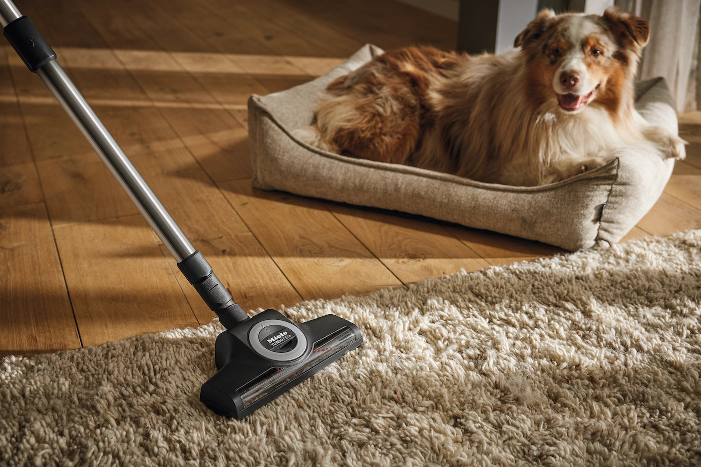 Miele STB 305-3 TurboTeQ