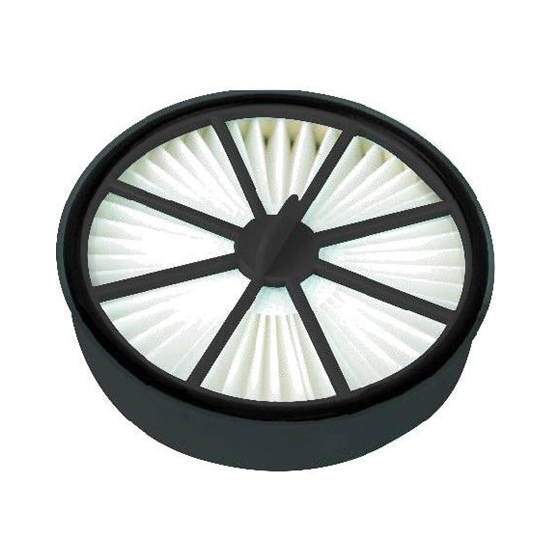 Wertheim Evolution HEPA & Sponge Filter Set W7301
