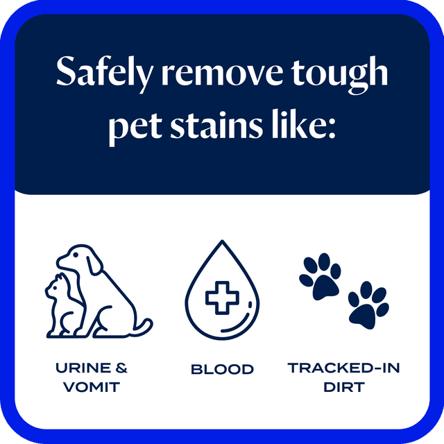 Bissell Wash & Remove Pro Oxy Pet Urine Eliminator Formula